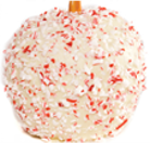 Chocolate and Caramel Dipped Apples - VJM Chocolates